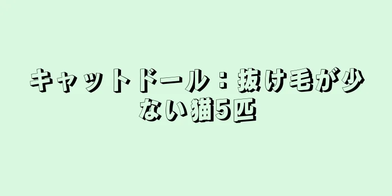 キャットドール：抜け毛が少ない猫5匹