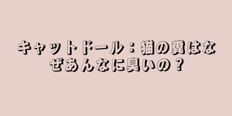 キャットドール：猫の糞はなぜあんなに臭いの？