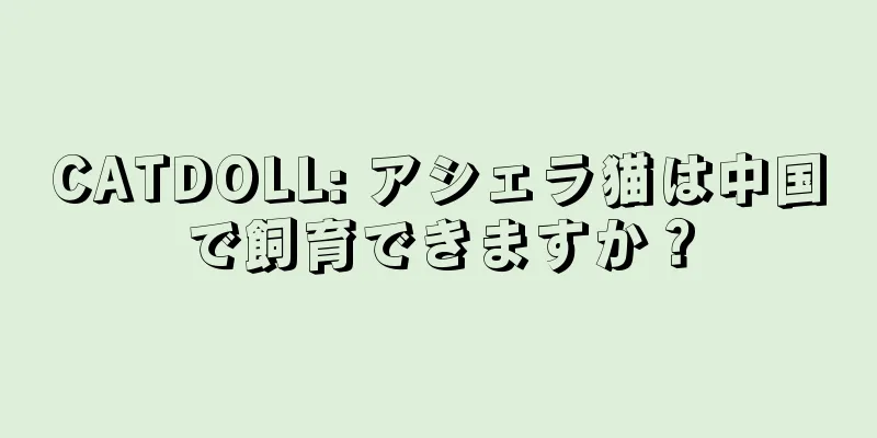 CATDOLL: アシェラ猫は中国で飼育できますか？