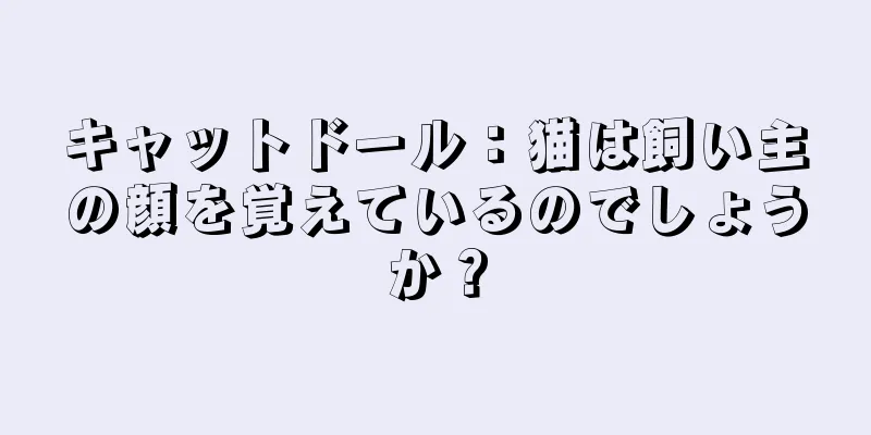 キャットドール：猫は飼い主の顔を覚えているのでしょうか？