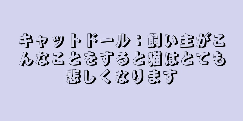 キャットドール：飼い主がこんなことをすると猫はとても悲しくなります