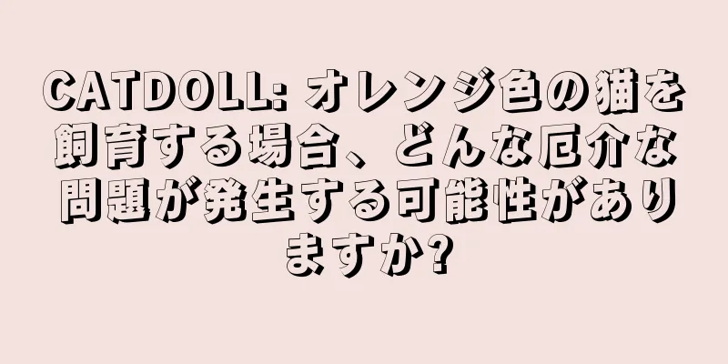 CATDOLL: オレンジ色の猫を飼育する場合、どんな厄介な問題が発生する可能性がありますか?