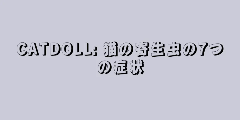 CATDOLL: 猫の寄生虫の7つの症状