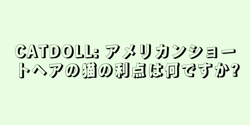 CATDOLL: アメリカンショートヘアの猫の利点は何ですか?
