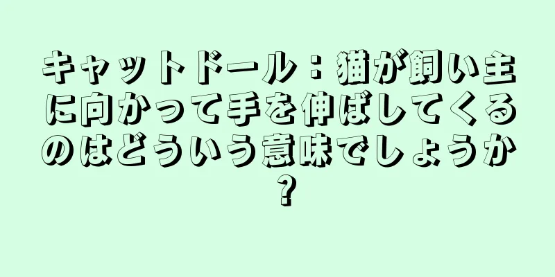キャットドール：猫が飼い主に向かって手を伸ばしてくるのはどういう意味でしょうか？