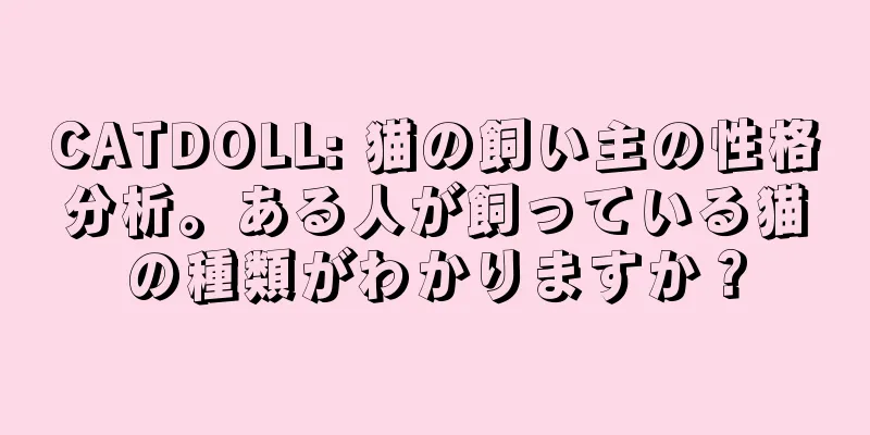 CATDOLL: 猫の飼い主の性格分析。ある人が飼っている猫の種類がわかりますか？