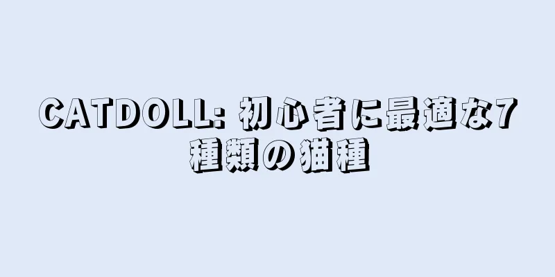 CATDOLL: 初心者に最適な7種類の猫種