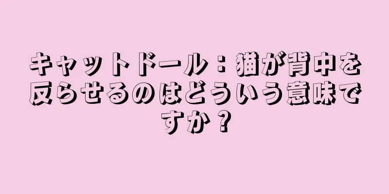キャットドール：猫が背中を反らせるのはどういう意味ですか？