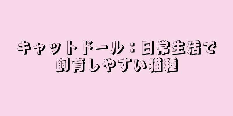 キャットドール：日常生活で飼育しやすい猫種