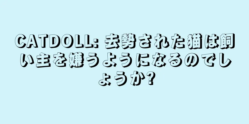 CATDOLL: 去勢された猫は飼い主を嫌うようになるのでしょうか?