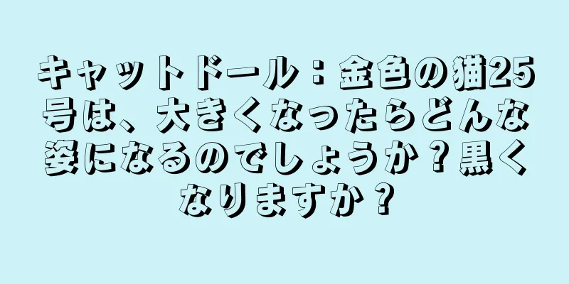 キャットドール：金色の猫25号は、大きくなったらどんな姿になるのでしょうか？黒くなりますか？
