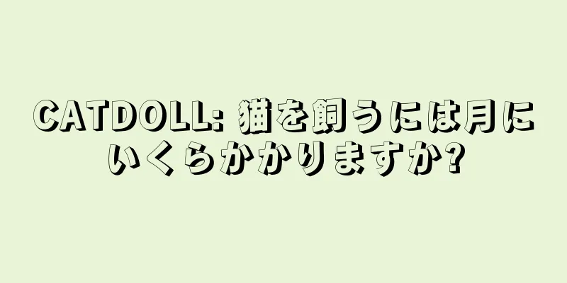 CATDOLL: 猫を飼うには月にいくらかかりますか?