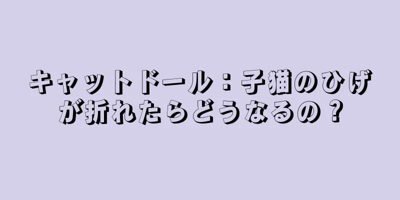 キャットドール：子猫のひげが折れたらどうなるの？