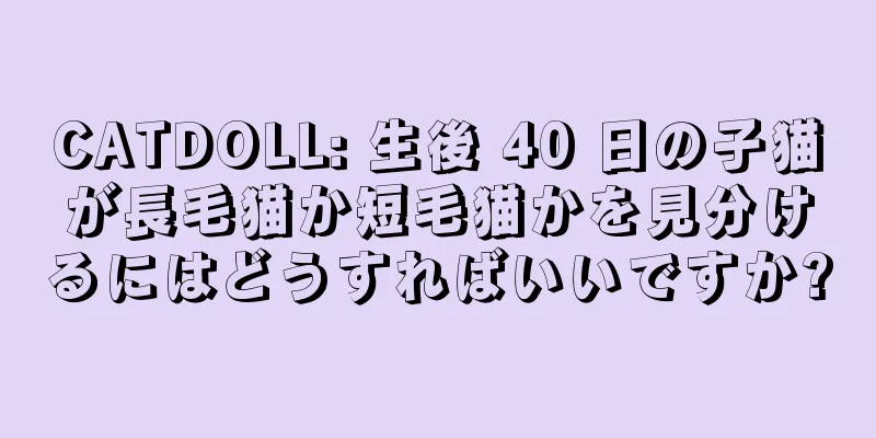 CATDOLL: 生後 40 日の子猫が長毛猫か短毛猫かを見分けるにはどうすればいいですか?