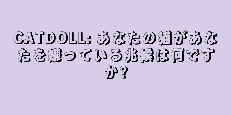 CATDOLL: あなたの猫があなたを嫌っている兆候は何ですか?