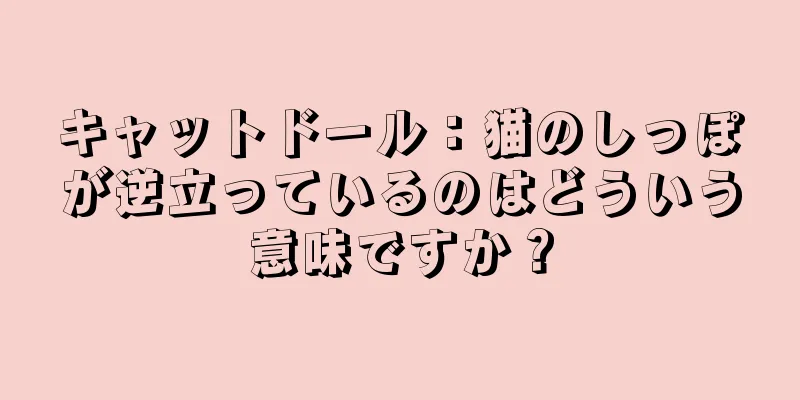 キャットドール：猫のしっぽが逆立っているのはどういう意味ですか？