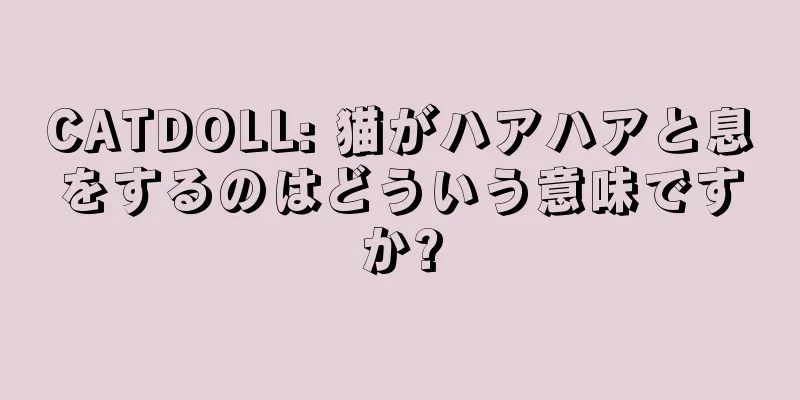 CATDOLL: 猫がハアハアと息をするのはどういう意味ですか?