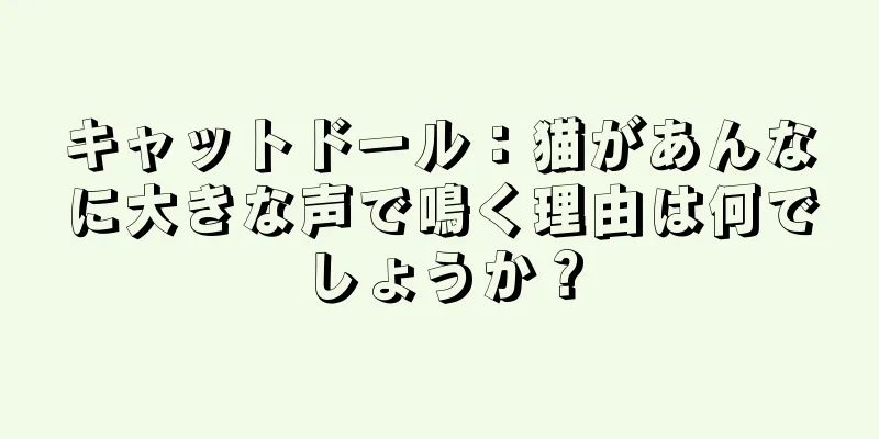 キャットドール：猫があんなに大きな声で鳴く理由は何でしょうか？