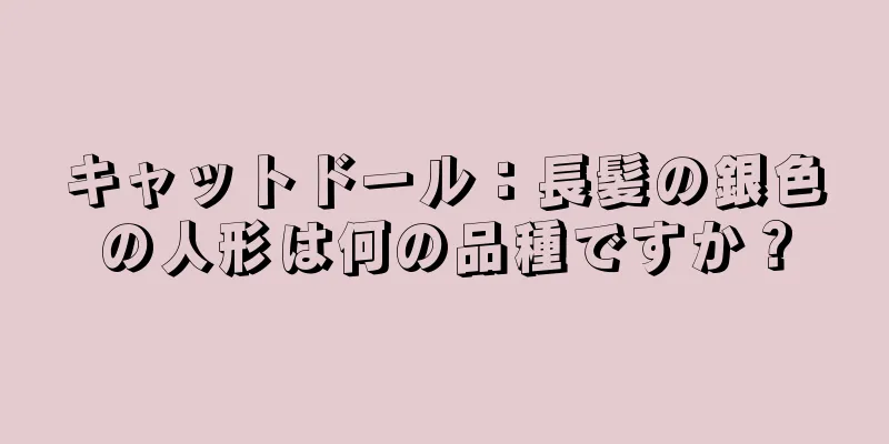 キャットドール：長髪の銀色の人形は何の品種ですか？