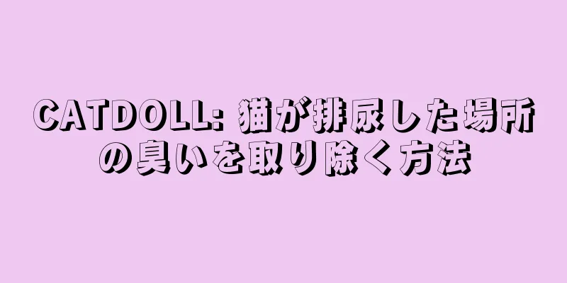 CATDOLL: 猫が排尿した場所の臭いを取り除く方法