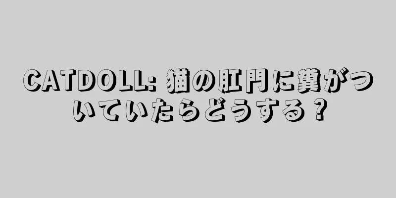 CATDOLL: 猫の肛門に糞がついていたらどうする？