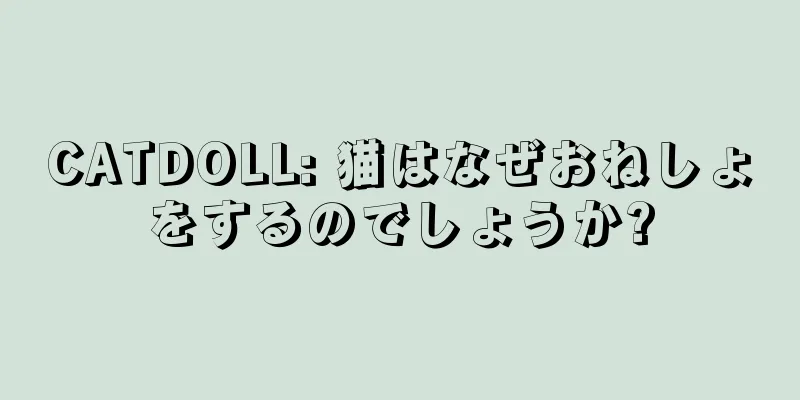 CATDOLL: 猫はなぜおねしょをするのでしょうか?
