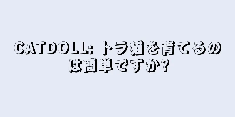CATDOLL: トラ猫を育てるのは簡単ですか?