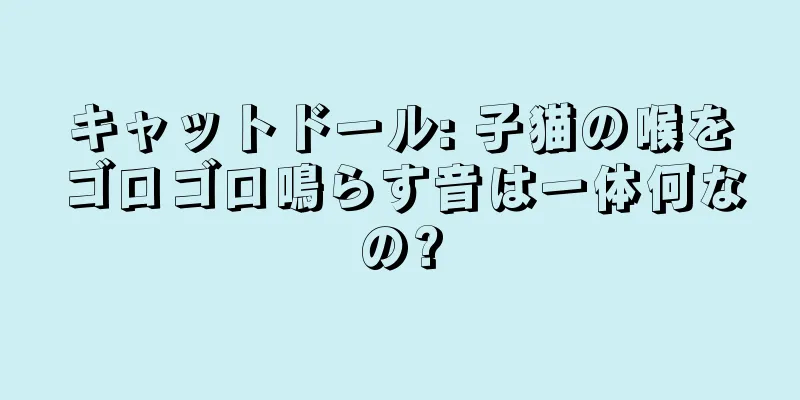 キャットドール: 子猫の喉をゴロゴロ鳴らす音は一体何なの?