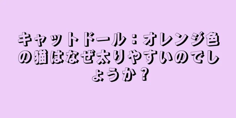 キャットドール：オレンジ色の猫はなぜ太りやすいのでしょうか？