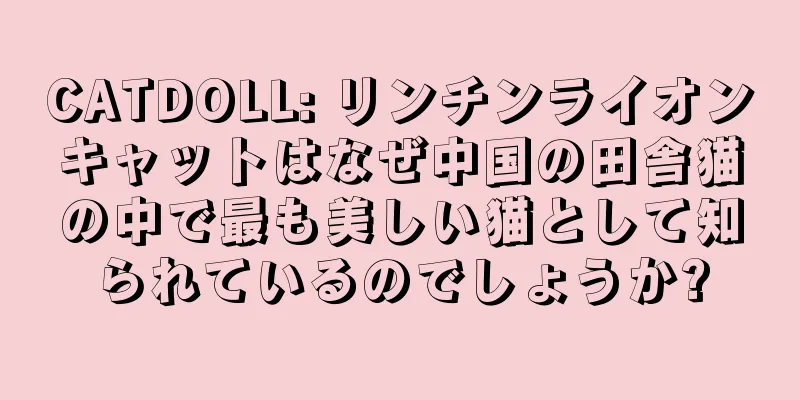 CATDOLL: リンチンライオンキャットはなぜ中国の田舎猫の中で最も美しい猫として知られているのでしょうか?