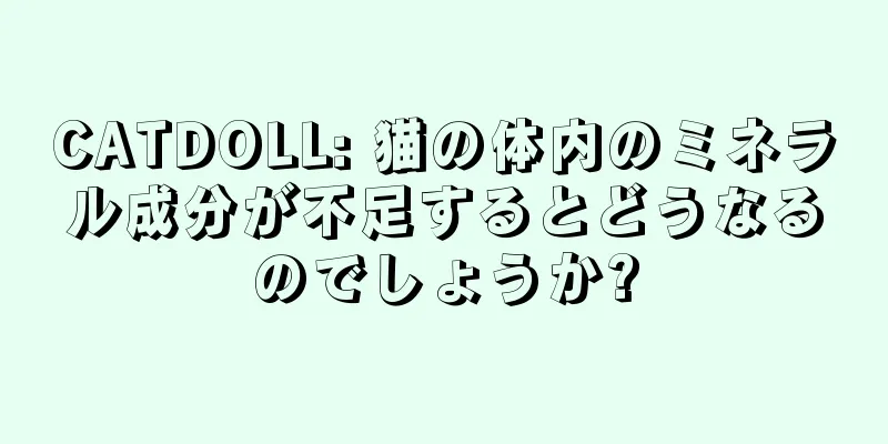 CATDOLL: 猫の体内のミネラル成分が不足するとどうなるのでしょうか?
