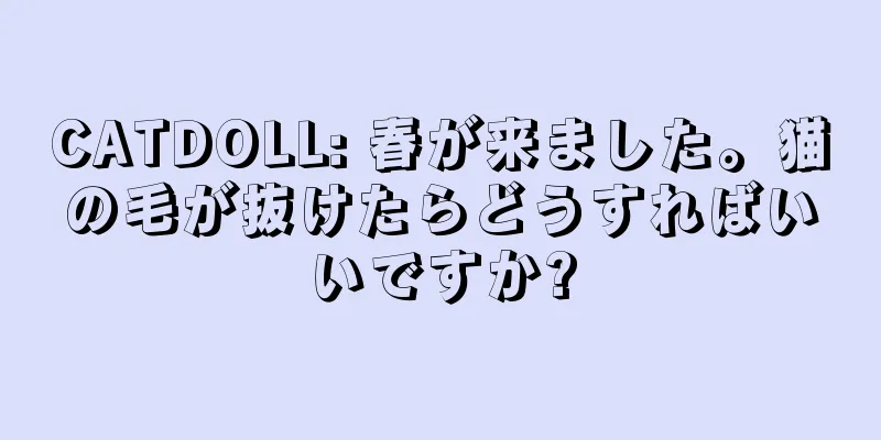 CATDOLL: 春が来ました。猫の毛が抜けたらどうすればいいですか?