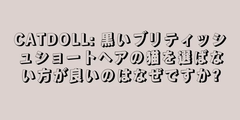 CATDOLL: 黒いブリティッシュショートヘアの猫を選ばない方が良いのはなぜですか?