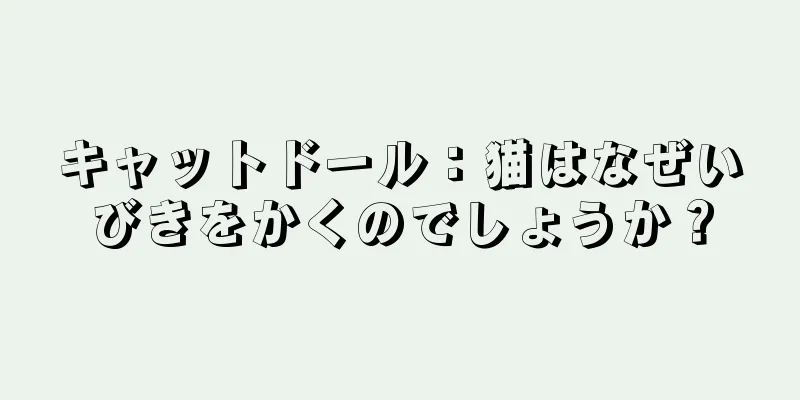 キャットドール：猫はなぜいびきをかくのでしょうか？