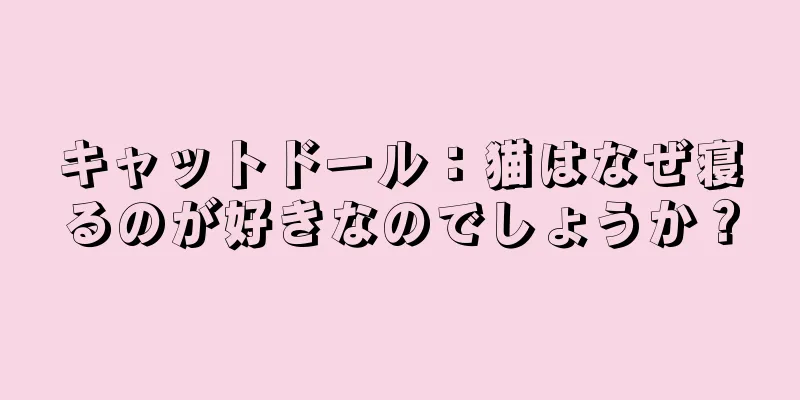 キャットドール：猫はなぜ寝るのが好きなのでしょうか？