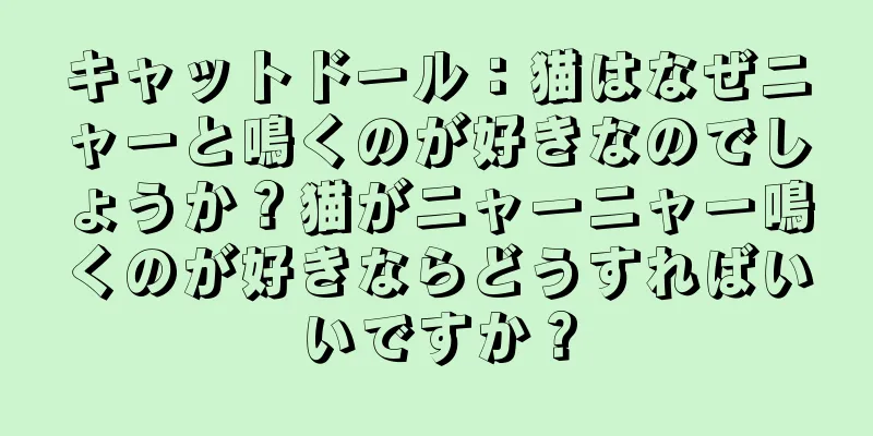 キャットドール：猫はなぜニャーと鳴くのが好きなのでしょうか？猫がニャーニャー鳴くのが好きならどうすればいいですか？