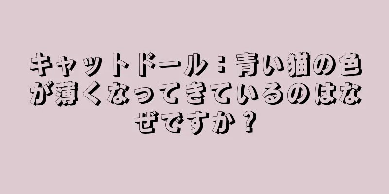キャットドール：青い猫の色が薄くなってきているのはなぜですか？