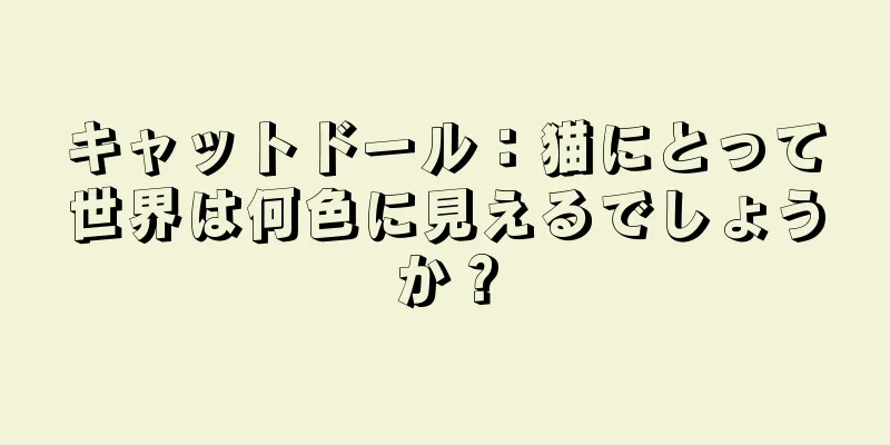 キャットドール：猫にとって世界は何色に見えるでしょうか？