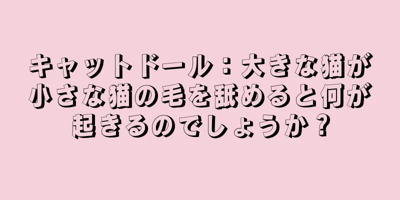 キャットドール：大きな猫が小さな猫の毛を舐めると何が起きるのでしょうか？