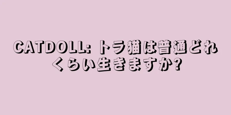 CATDOLL: トラ猫は普通どれくらい生きますか?