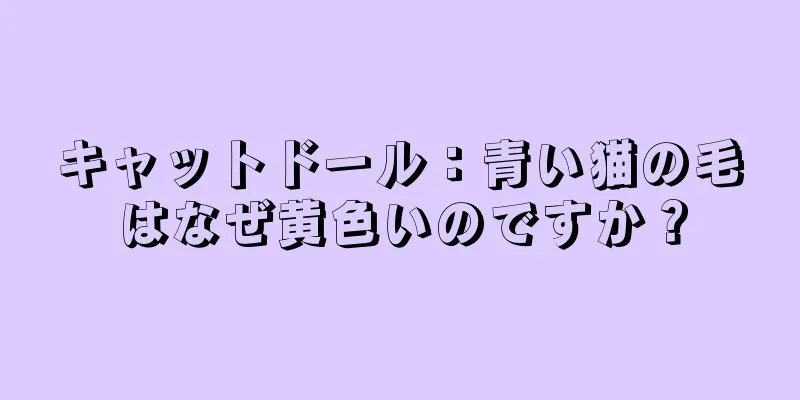 キャットドール：青い猫の毛はなぜ黄色いのですか？