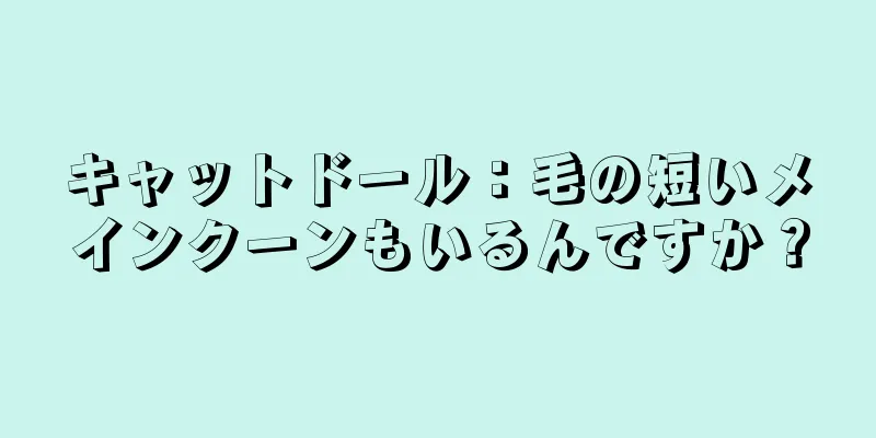 キャットドール：毛の短いメインクーンもいるんですか？