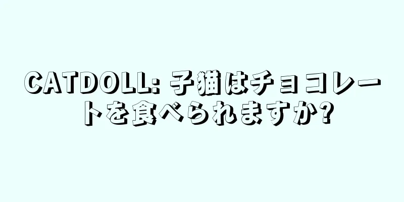 CATDOLL: 子猫はチョコレートを食べられますか?