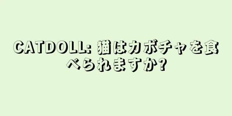 CATDOLL: 猫はカボチャを食べられますか?