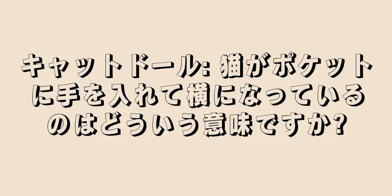 キャットドール: 猫がポケットに手を入れて横になっているのはどういう意味ですか?