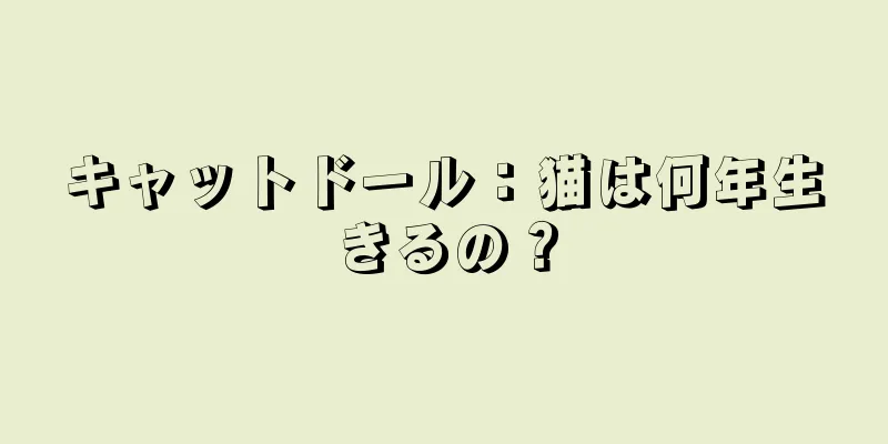キャットドール：猫は何年生きるの？