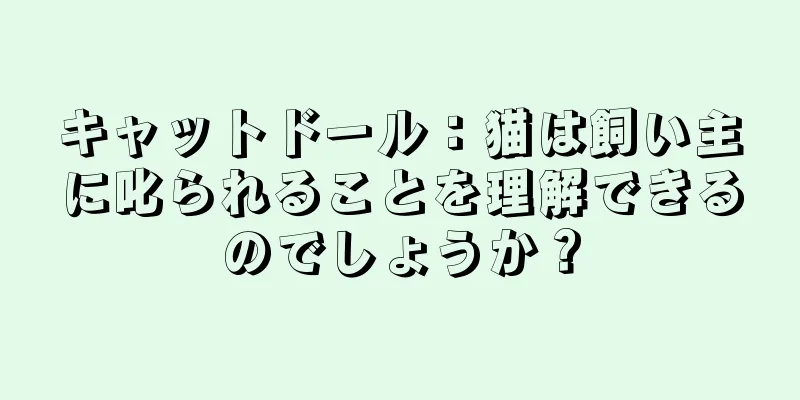 キャットドール：猫は飼い主に叱られることを理解できるのでしょうか？