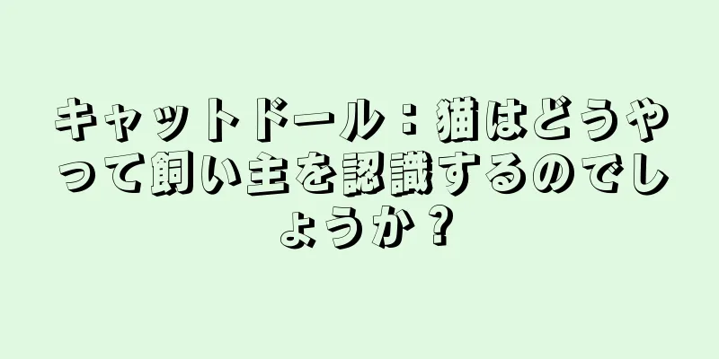 キャットドール：猫はどうやって飼い主を認識するのでしょうか？