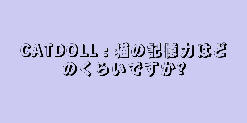 CATDOLL : 猫の記憶力はどのくらいですか?