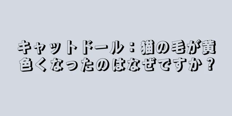 キャットドール：猫の毛が黄色くなったのはなぜですか？